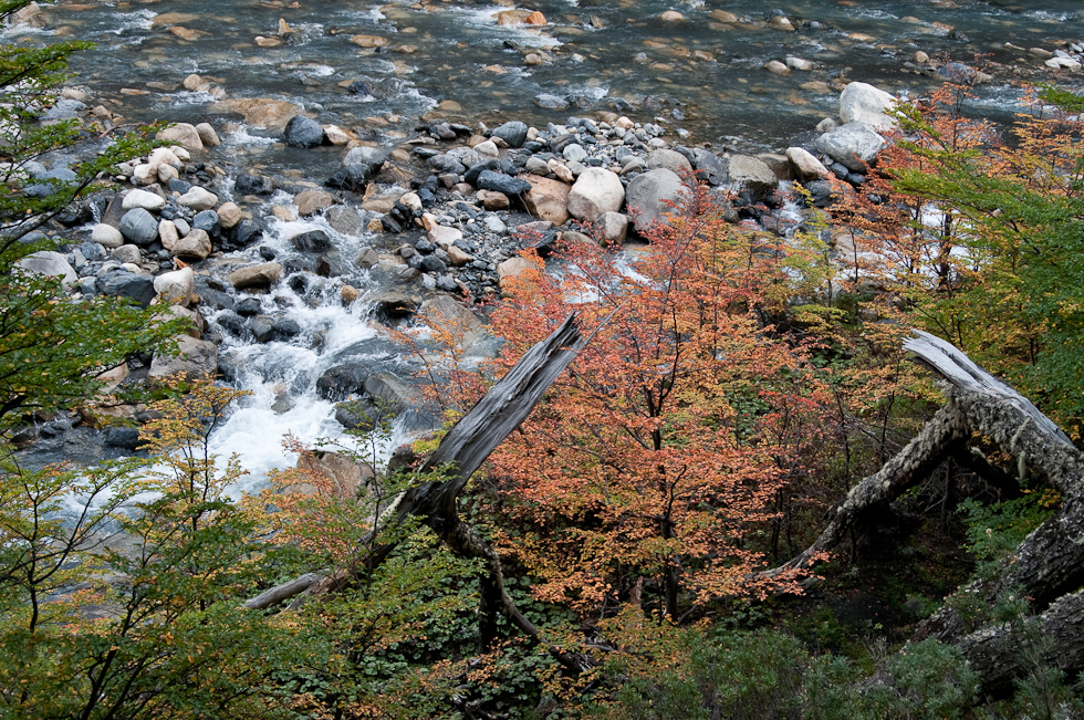    Torres del Paine National Park, Chile