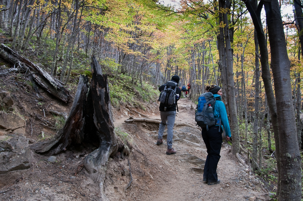    Torres del Paine National Park, Chile