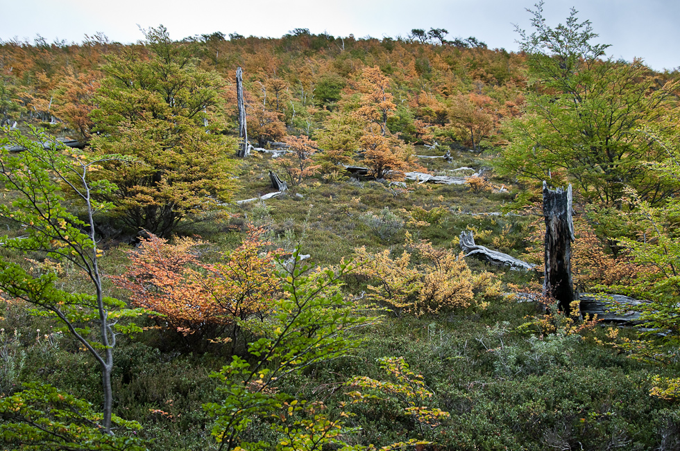    Torres del Paine National Park, Chile