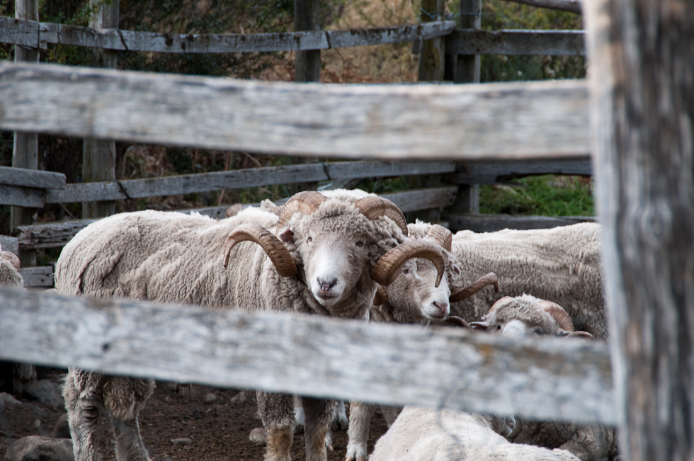    Near Torres del Paine National Park, Chile