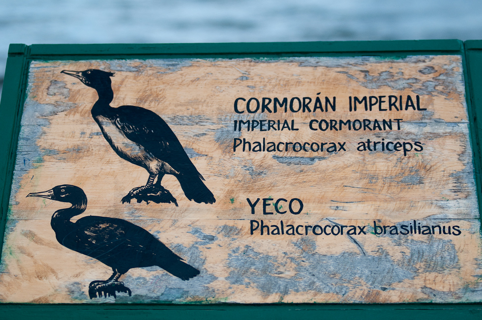    Puerto Natales, Chile