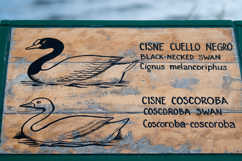    Puerto Natales, Chile