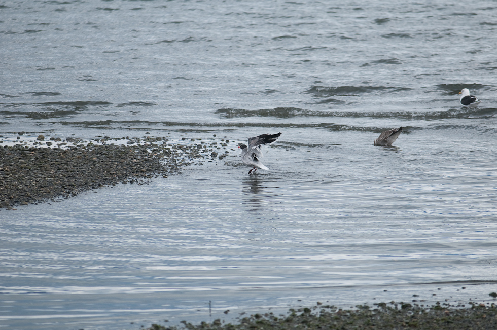    Puerto Natales, Chile