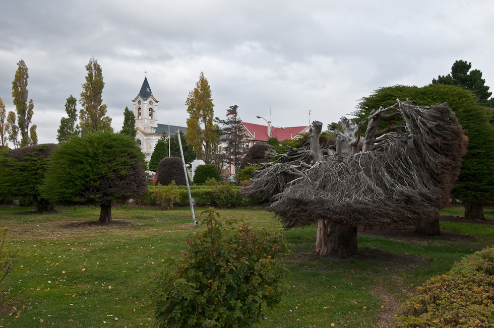 City Park Damage   Puerto Natales, Chile