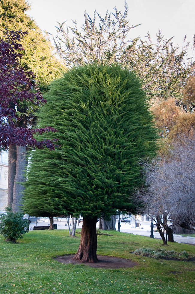 Statue of Magellan   Town Square, Punta Arenas, Chile