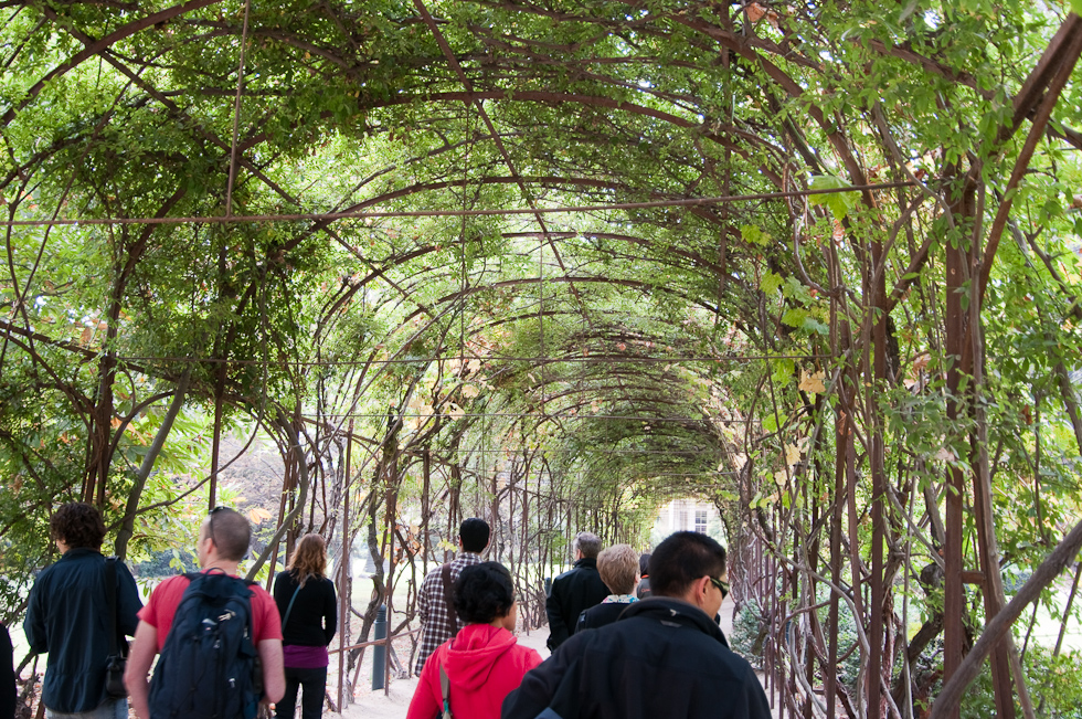    Concha Y Toro Winery, Chile