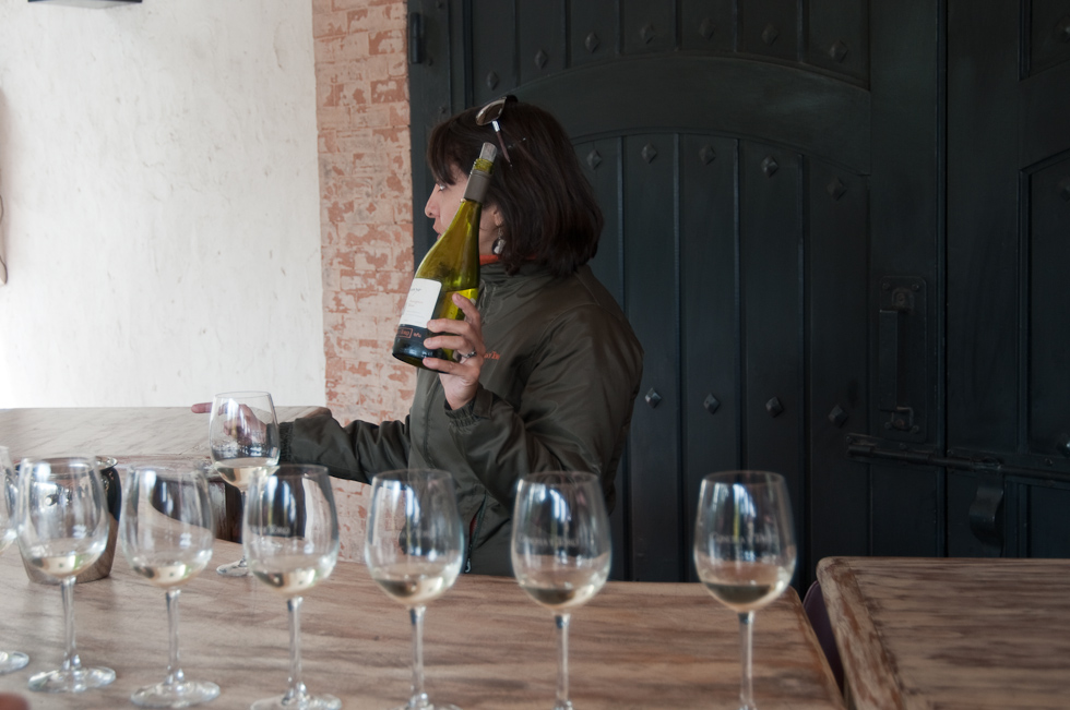    Concha Y Toro Winery, Chile