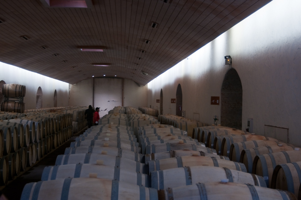    Concha Y Toro Winery, Chile