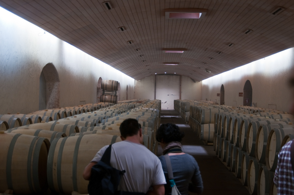    Concha Y Toro Winery, Chile