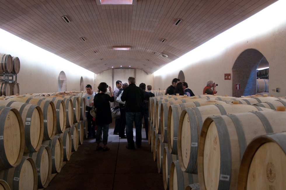    Concha Y Toro Winery, Chile