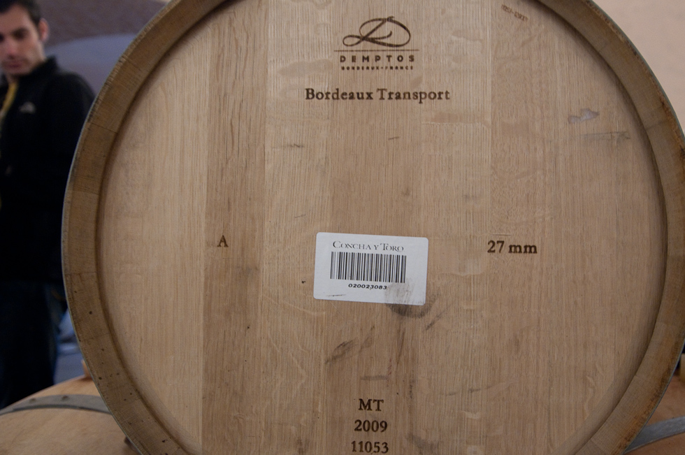    Concha Y Toro Winery, Chile