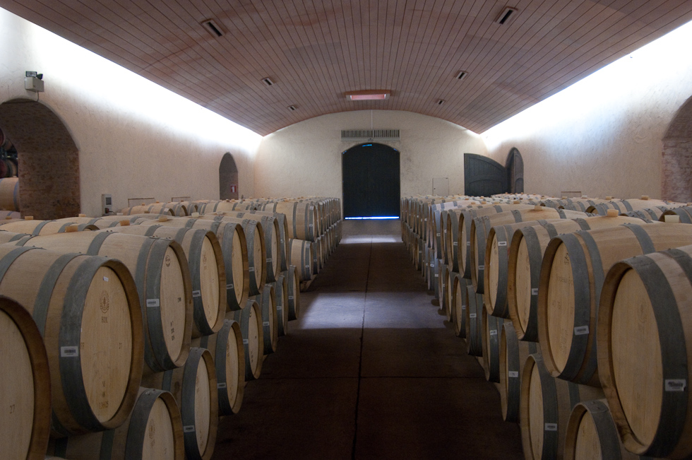    Concha Y Toro Winery, Chile