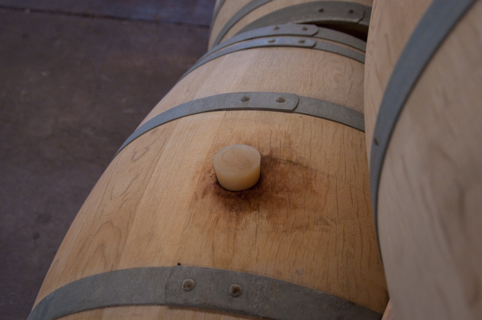    Concha Y Toro Winery, Chile