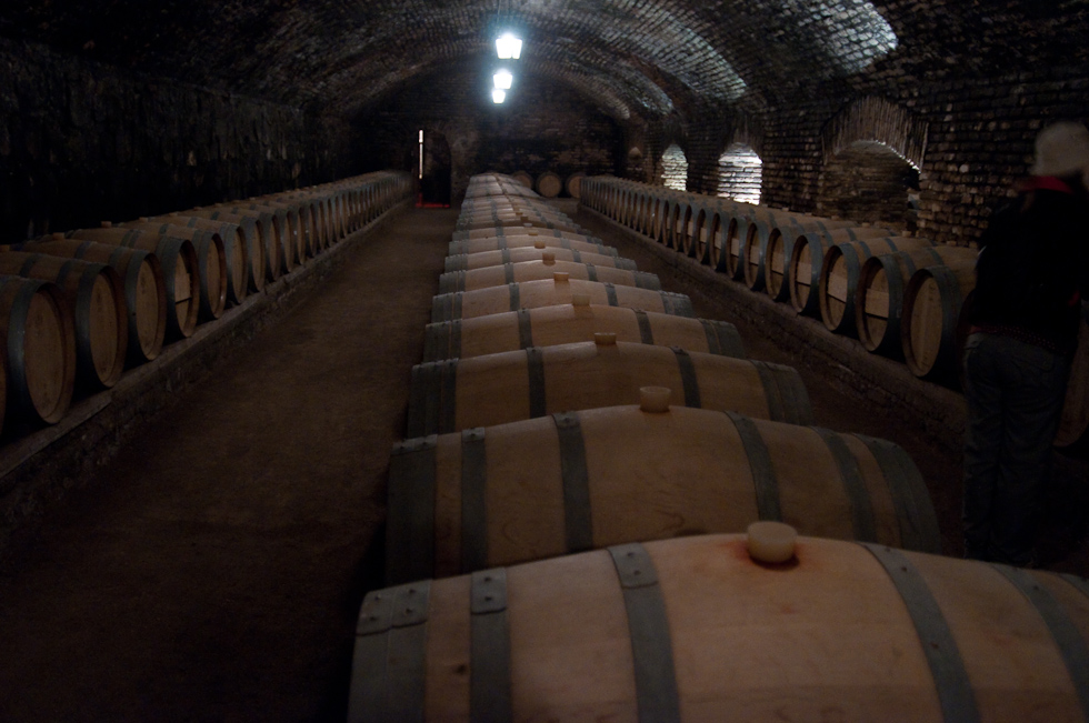    Concha Y Toro Winery, Chile