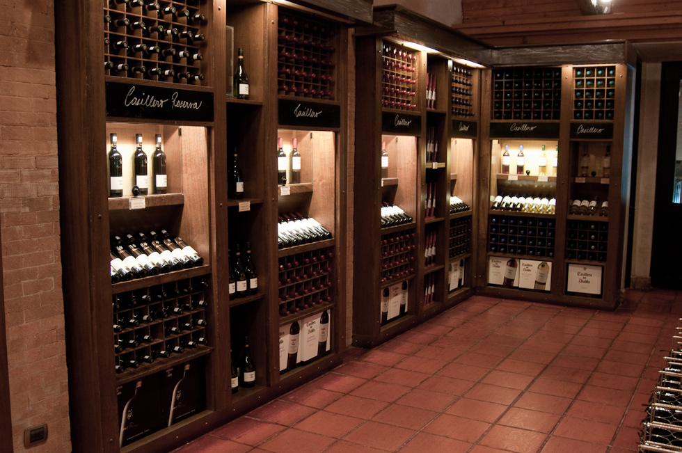 Gift Shop   Concha Y Toro Winery, Chile