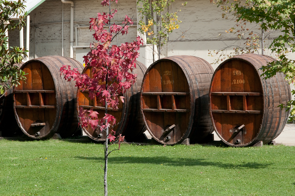    Concha Y Toro Winery, Chile