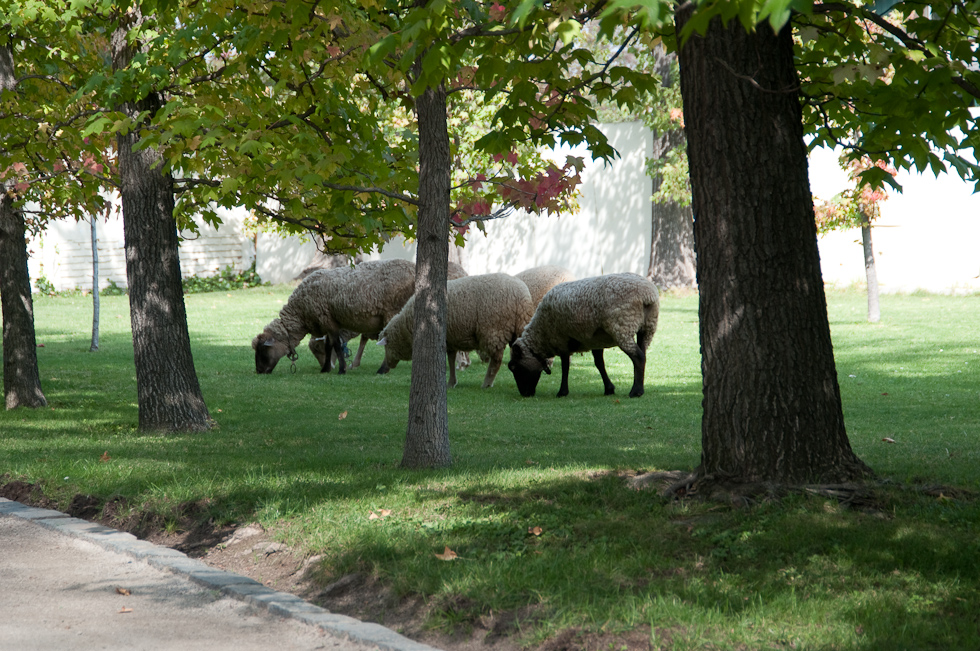    Concha Y Toro Winery, Chile
