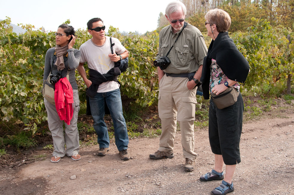    Cavas del Maipo Winery, near Puerto Alto, Chile