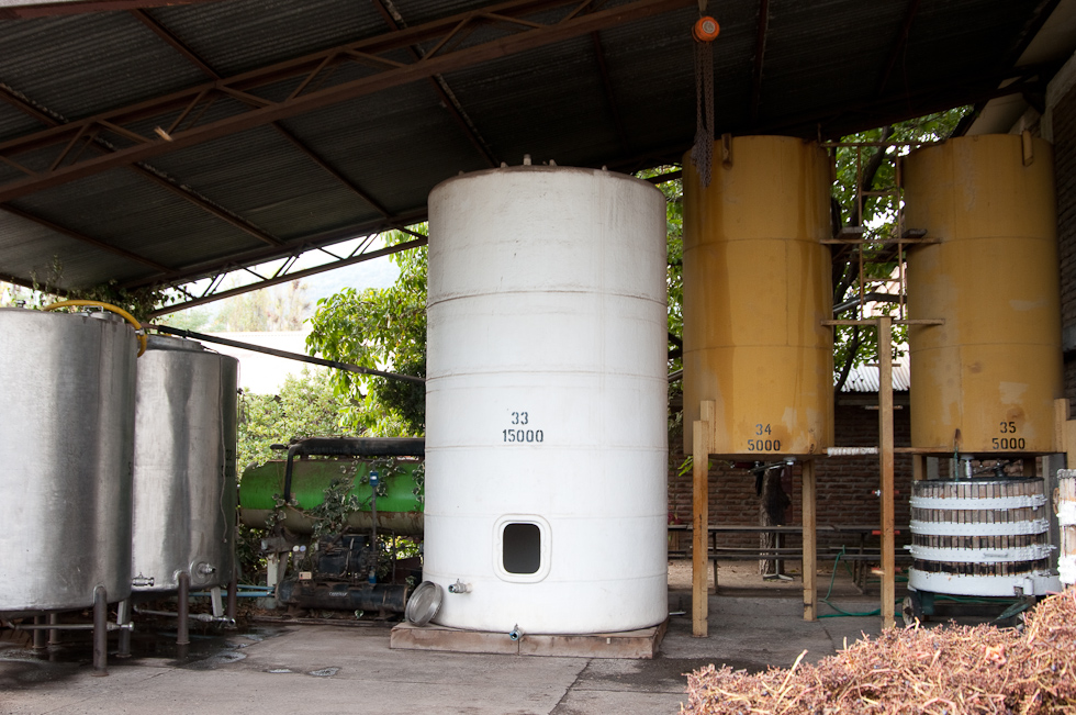    Cavas del Maipo Winery, near Puerto Alto, Chile