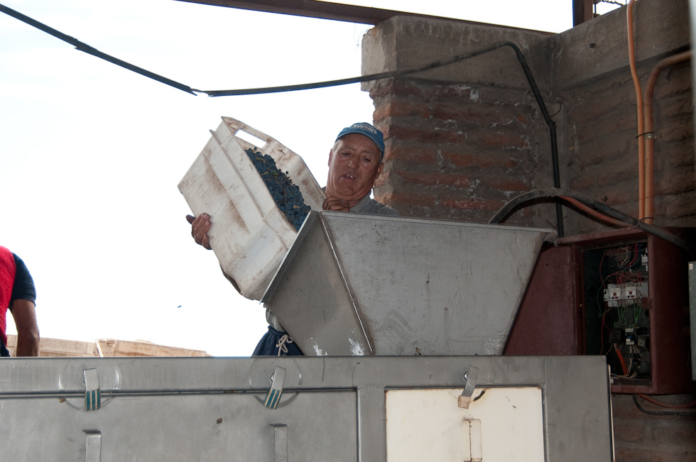    Cavas del Maipo Winery, near Puerto Alto, Chile