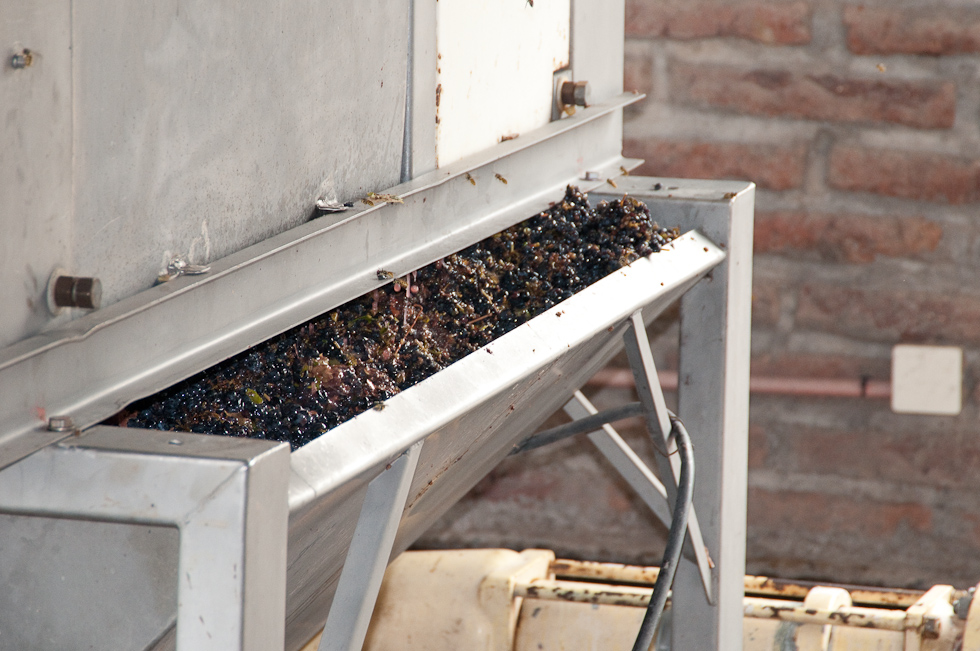    Cavas del Maipo Winery, near Puerto Alto, Chile