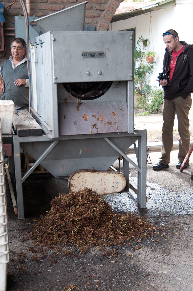    Cavas del Maipo Winery, near Puerto Alto, Chile