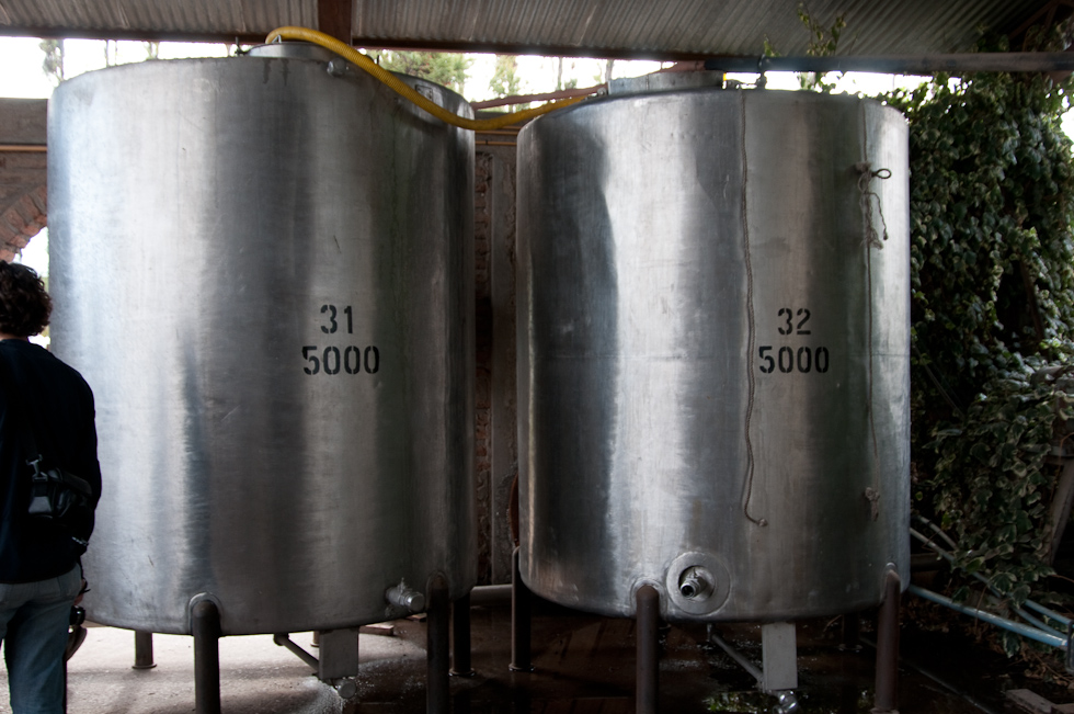    Cavas del Maipo Winery, near Puerto Alto, Chile