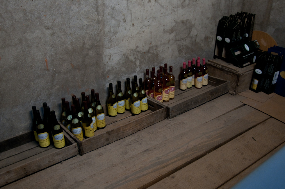    Cavas del Maipo Winery, near Puerto Alto, Chile