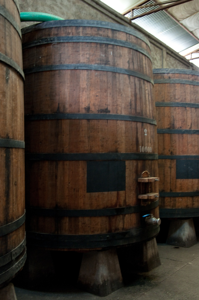    Cavas del Maipo Winery, near Puerto Alto, Chile