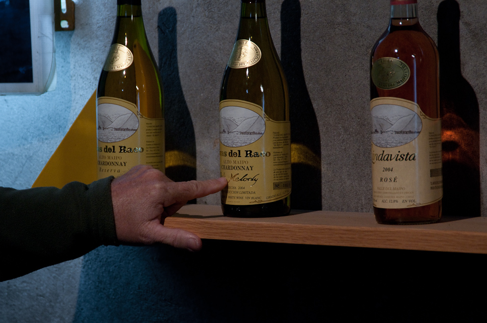    Cavas del Maipo Winery, near Puerto Alto, Chile