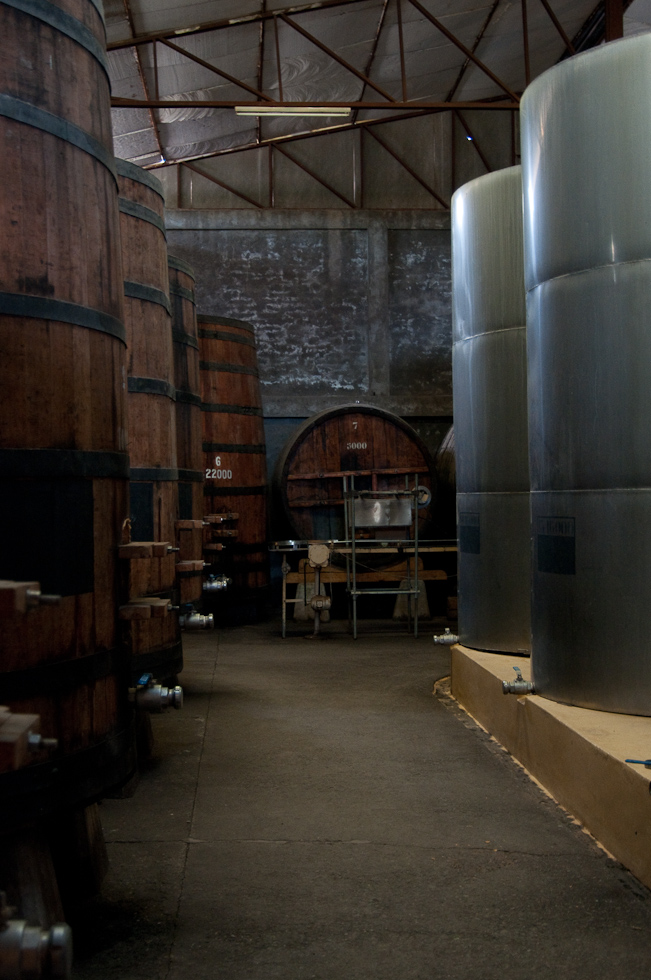    Cavas del Maipo Winery, near Puerto Alto, Chile