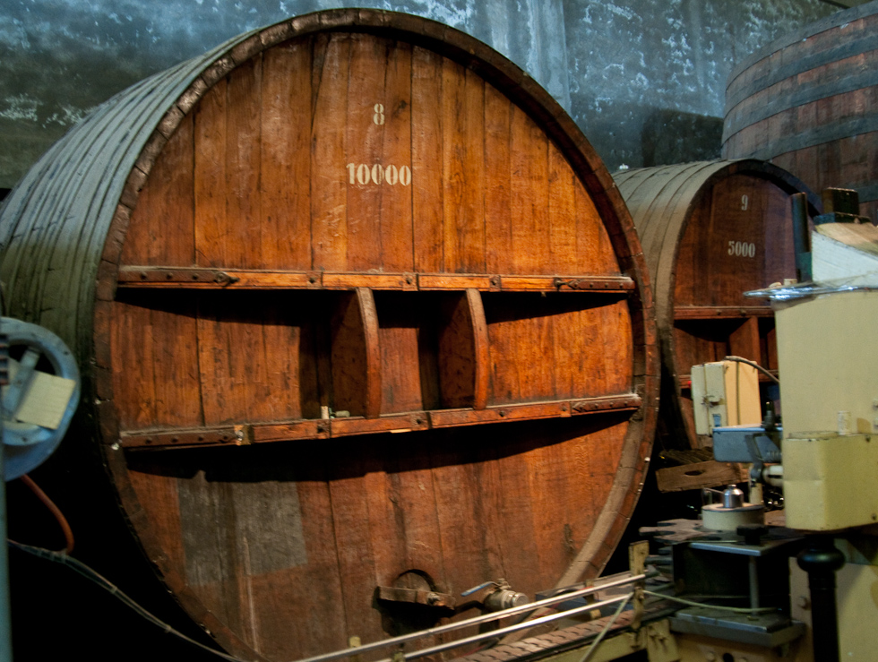    Cavas del Maipo Winery, near Puerto Alto, Chile
