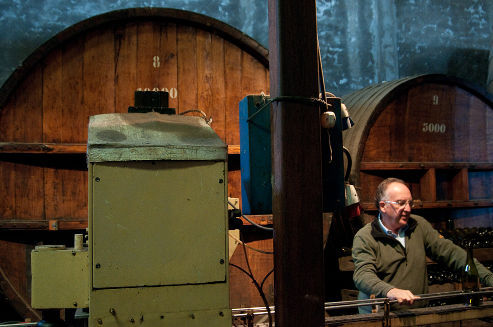    Cavas del Maipo Winery, near Puerto Alto, Chile