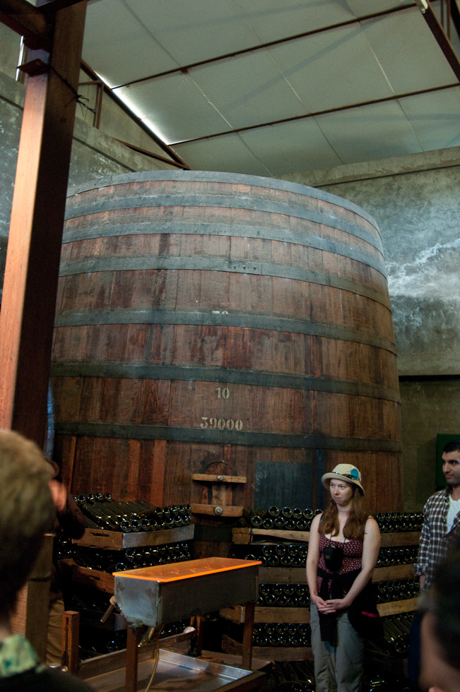    Cavas del Maipo Winery, near Puerto Alto, Chile