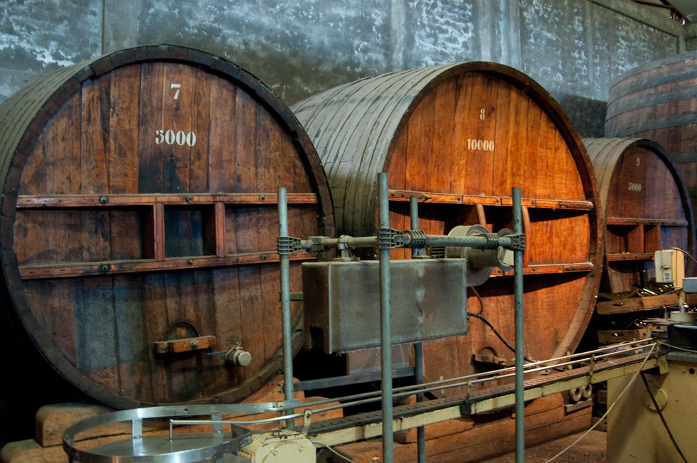    Cavas del Maipo Winery, near Puerto Alto, Chile