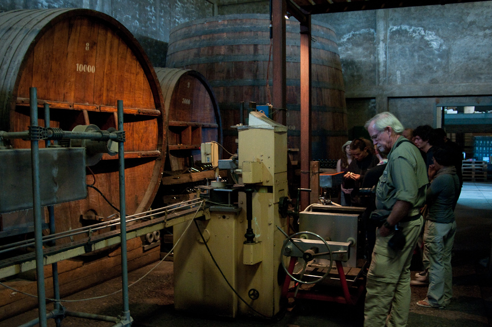    Cavas del Maipo Winery, near Puerto Alto, Chile