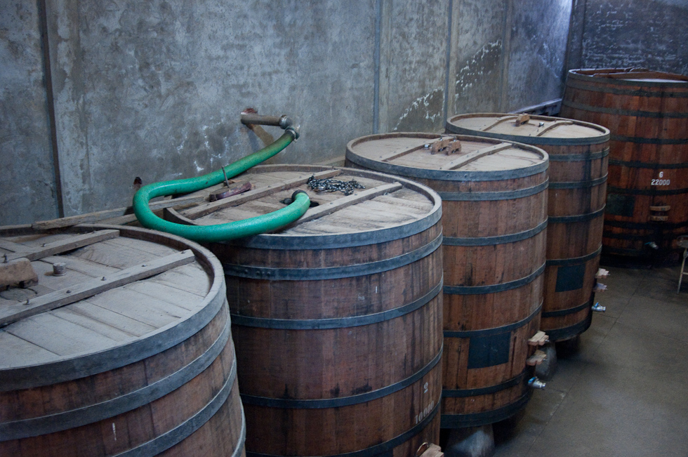    Cavas del Maipo Winery, near Puerto Alto, Chile