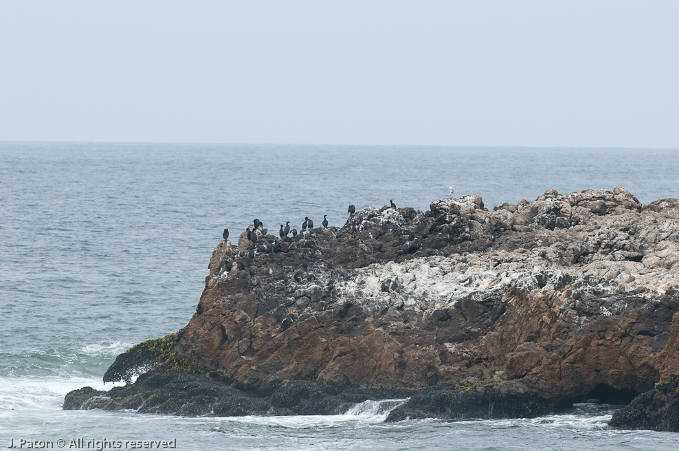    Pescadero State Beach, California