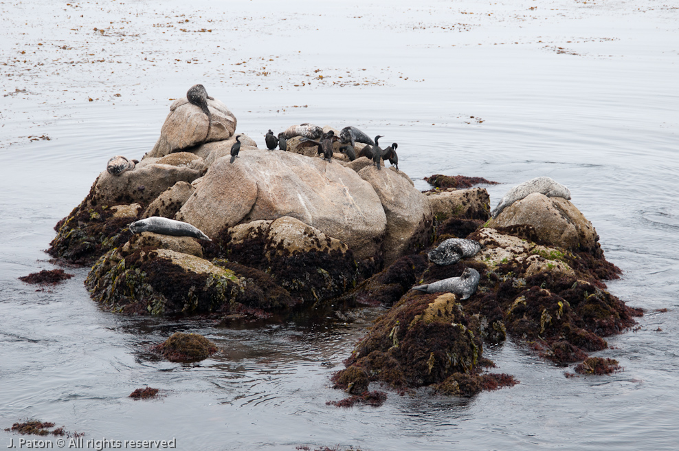    Monterey, California
