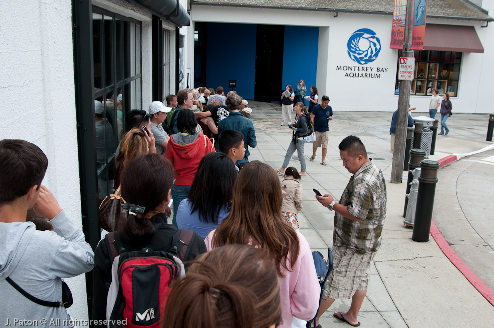 Monterey Bay Aquarium   Monterey, California