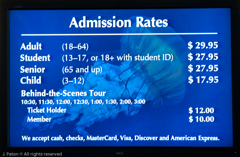 Monterey Bay Aquarium   Monterey, California