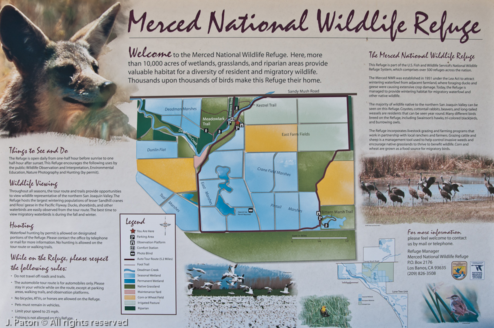    Merced National Wildlife Refuge, California