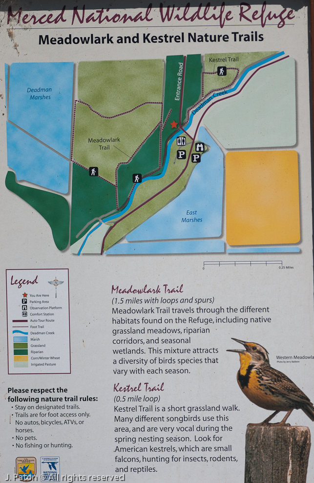    Merced National Wildlife Refuge, California