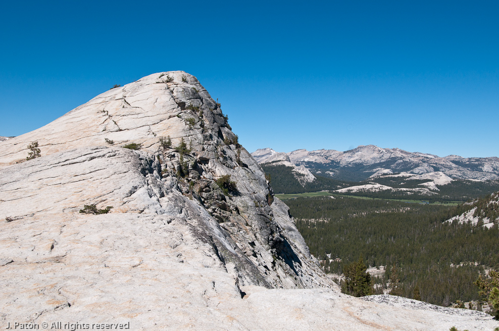    Lembert Dome, Yosemite National Park, California