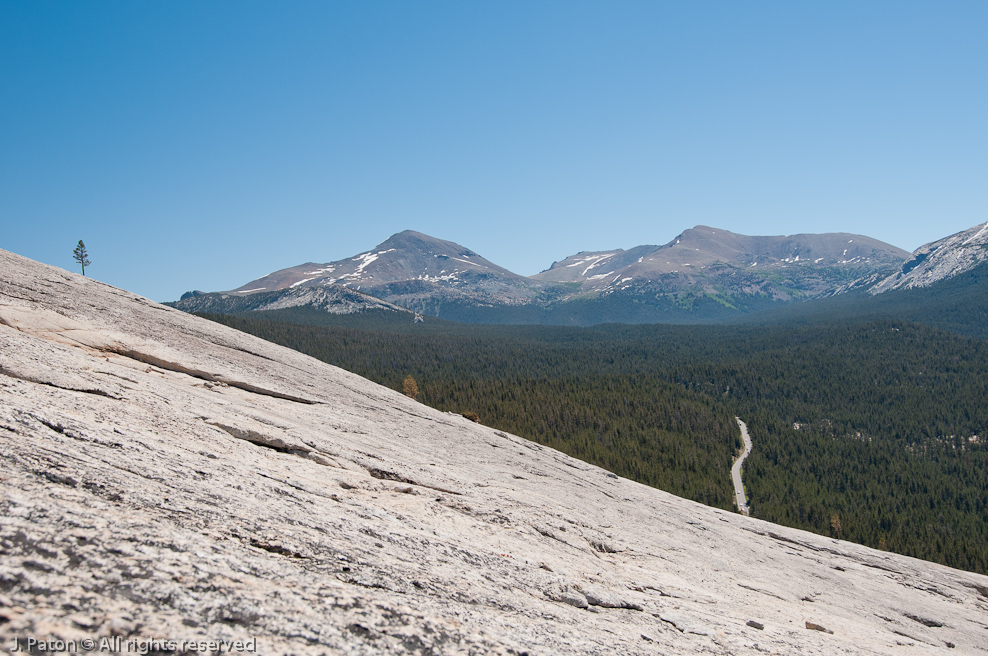    Lembert Dome, Yosemite National Park, California