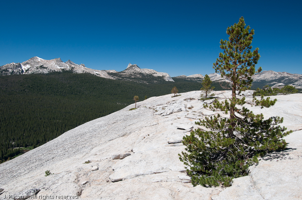    Lembert Dome, Yosemite National Park, California