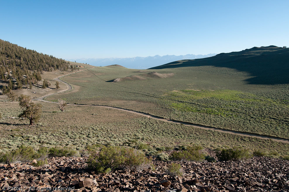 Road Back to Civilization   Discovery Trail,  Schulman Grove, Inyo National Forest, California