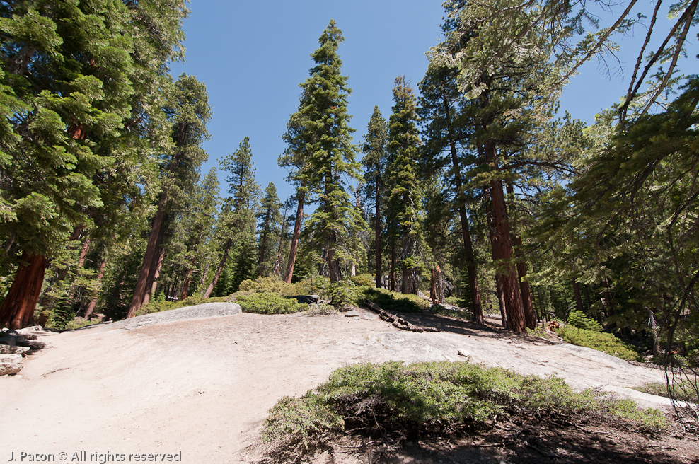 Granite Ground   Yosemite National Park, California