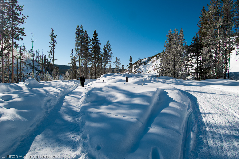 Gibbon Falls Area   Gibbon Falls, Yellowstone National Park, Wyoming