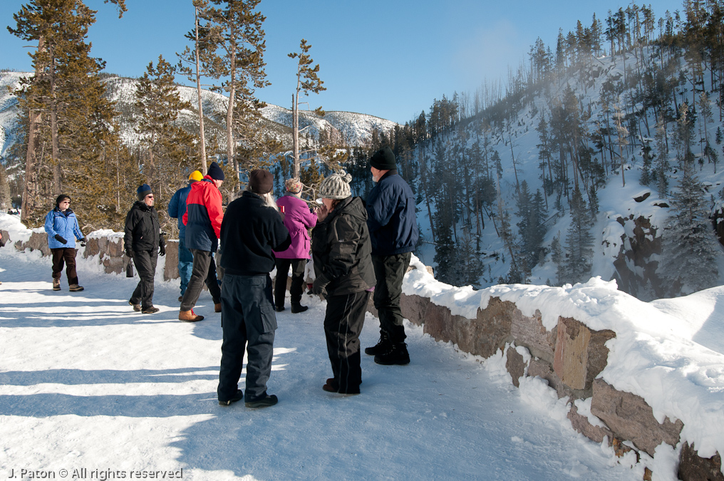 Gibbon Falls  Groups   Gibbon Falls, Yellowstone National Park, Wyoming